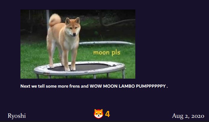 Shiba standing on trampoline